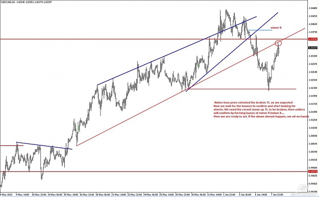 Click to Enlarge

Name: Loonie 05-06 after 3.JPG
Size: 88 KB