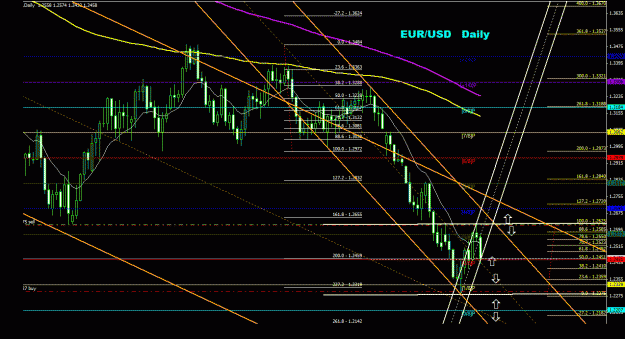 Click to Enlarge

Name: eurusd_daily_011.gif
Size: 38 KB