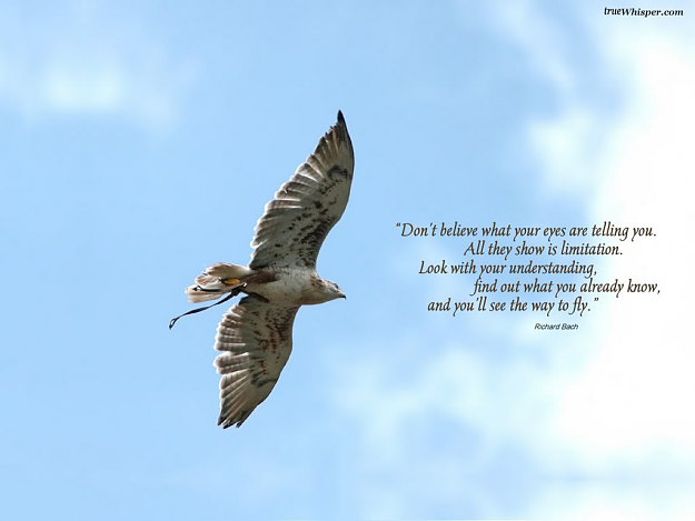 Click to Enlarge

Name: Morning everyone.png
Size: 254 KB