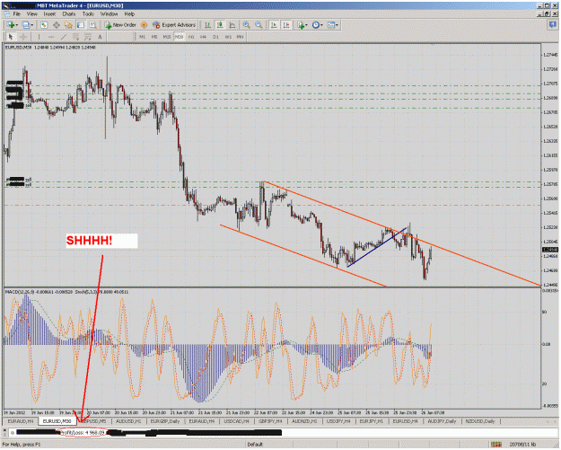 Click to Enlarge

Name: eurusd1h.gif
Size: 76 KB
